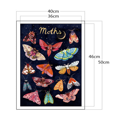 Moth - 11CT Stamped Cross Stitch 40*50CM