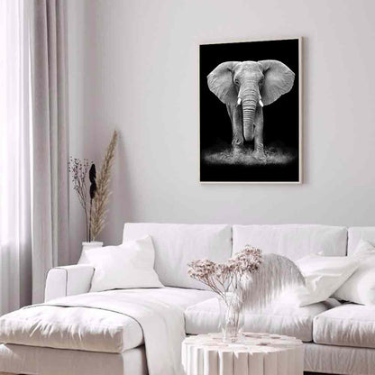 Black And White Elephant - Full Round Drill Diamond Painting 50*60CM