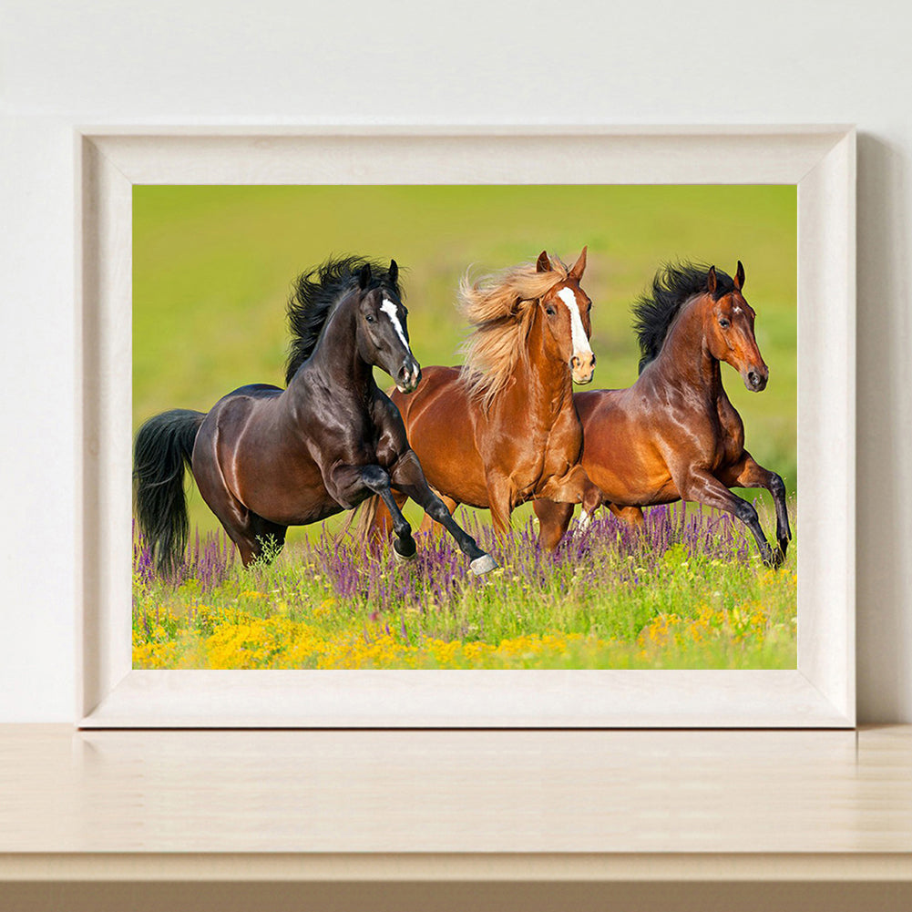 Horse - Full Round Drill Diamond Painting 40*30CM