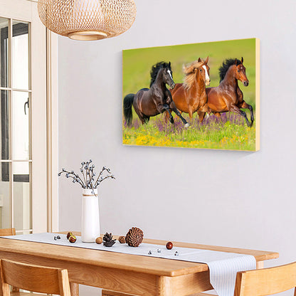 Horse - Full Round Drill Diamond Painting 40*30CM