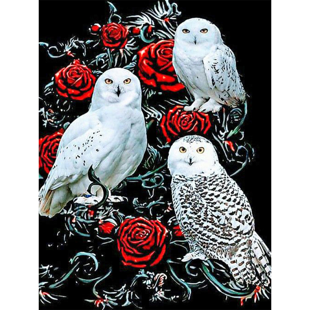 Rose Owl - Full Round Drill Diamond Painting 30*40CM