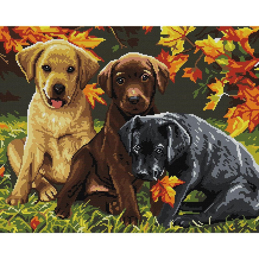 Three Puppies Five - 14CT Counted Cross Stitch 48*40CM