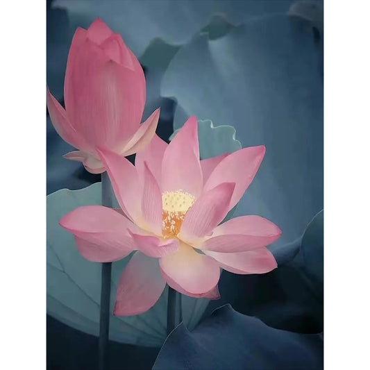 Lotus - Full Round Drill Diamond Painting 30*40CM