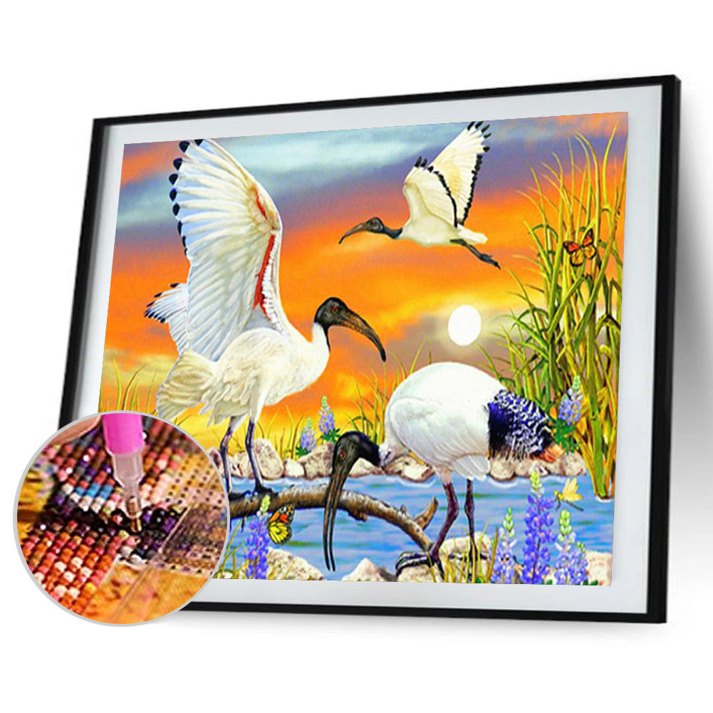 Crane - Full Round Drill Diamond Painting 40*30CM