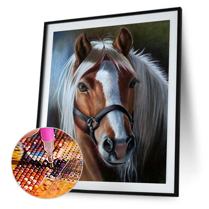 Horse - Full Round Drill Diamond Painting 50*60CM