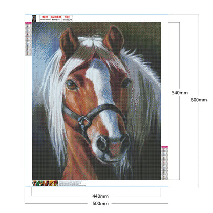 Horse - Full Round Drill Diamond Painting 50*60CM