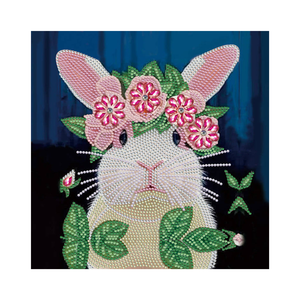 Rabbit 30*30CM(Canvas) Special Shaped Drill Diamond Paiting