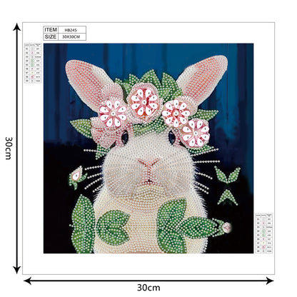 Rabbit 30*30CM(Canvas) Special Shaped Drill Diamond Paiting