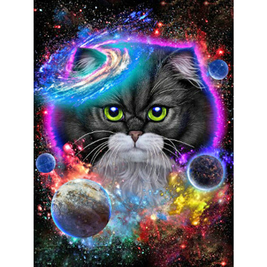 Cat In The Universe 30*40CM(Canvas) Full Round Drill Diamond Painting