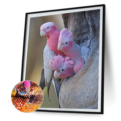 Parrot 30*40CM(Canvas) Full Round Drill Diamond Painting