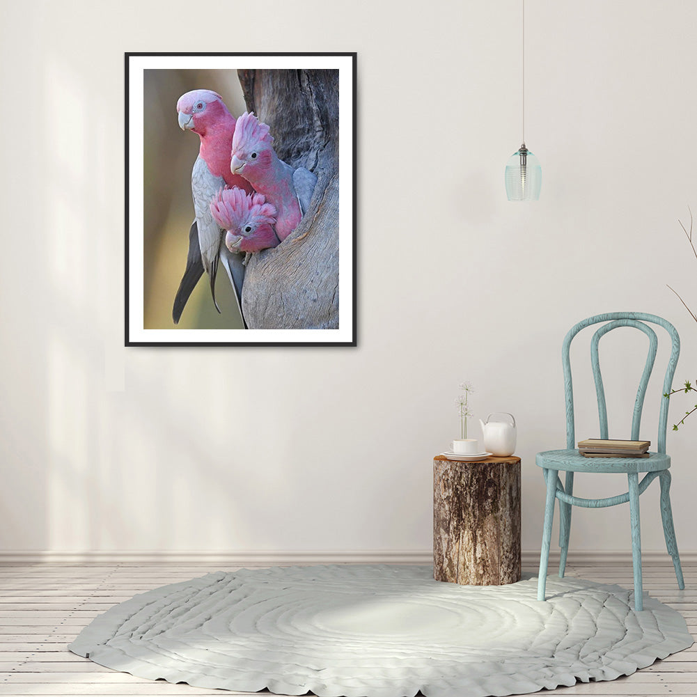 Parrot 30*40CM(Canvas) Full Round Drill Diamond Painting