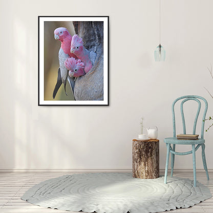 Parrot 30*40CM(Canvas) Full Round Drill Diamond Painting