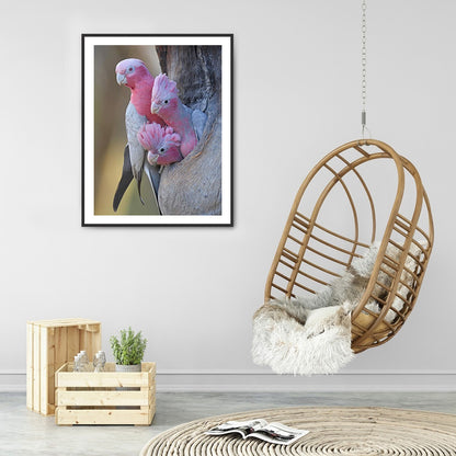 Parrot 30*40CM(Canvas) Full Round Drill Diamond Painting