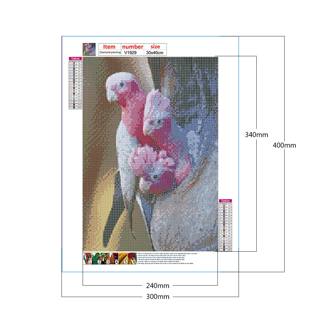 Parrot 30*40CM(Canvas) Full Round Drill Diamond Painting
