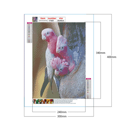 Parrot 30*40CM(Canvas) Full Round Drill Diamond Painting