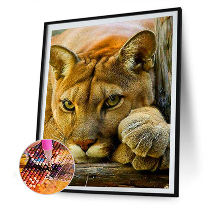 Leopard - Full Round Drill Diamond Painting 30*40CM