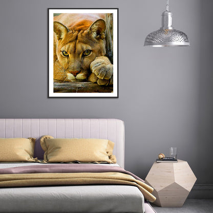 Leopard - Full Round Drill Diamond Painting 30*40CM