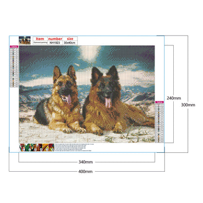 Wolf - Full Round Drill Diamond Painting 40*30CM