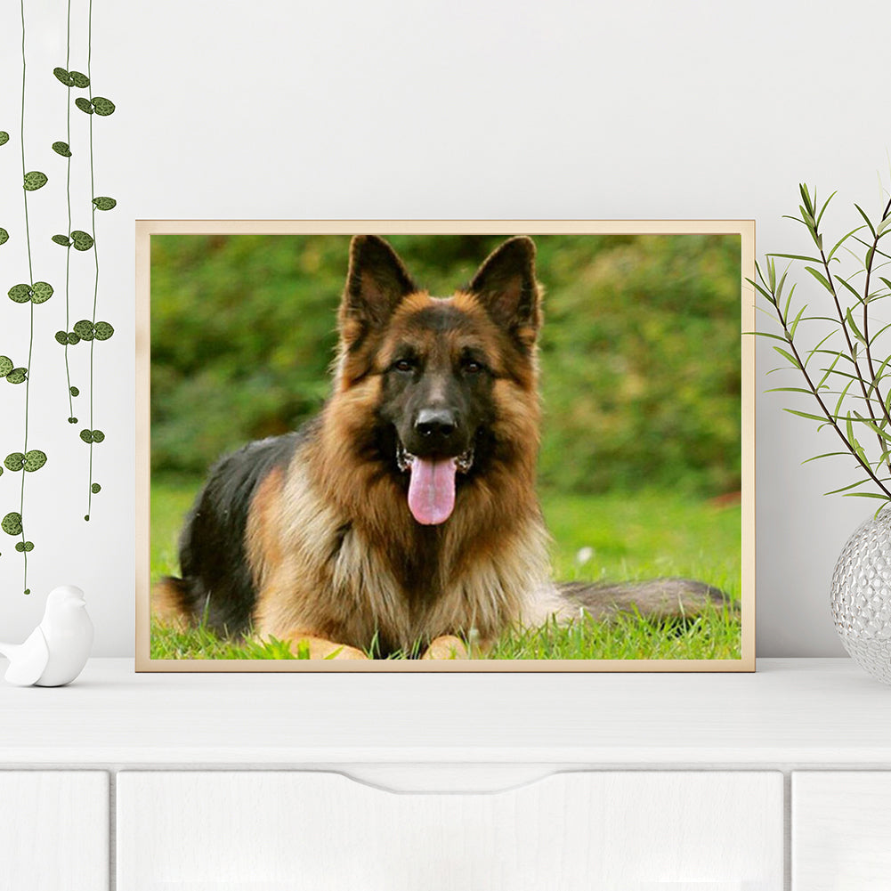Wolf - Full Round Drill Diamond Painting 40*30CM