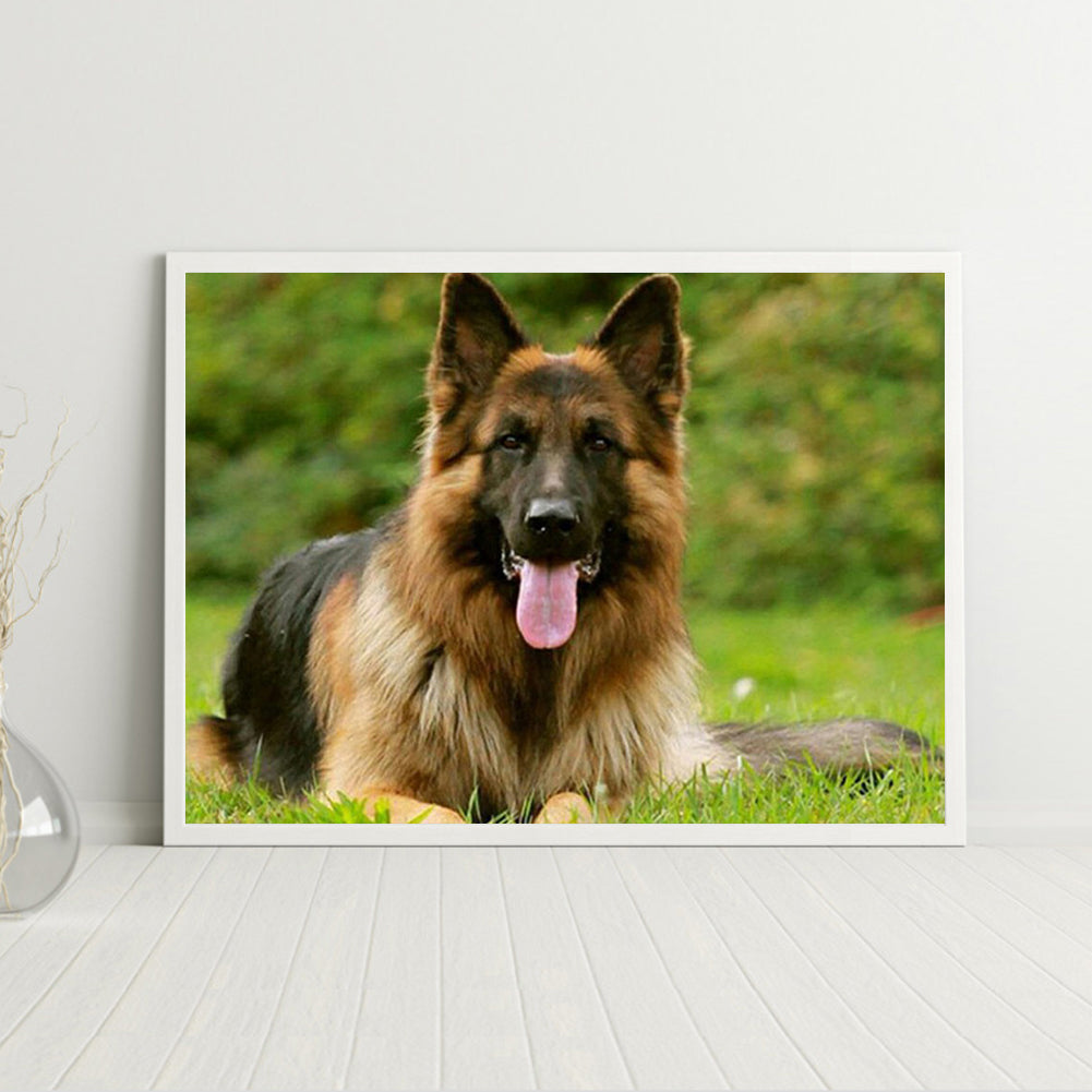 Wolf - Full Round Drill Diamond Painting 40*30CM