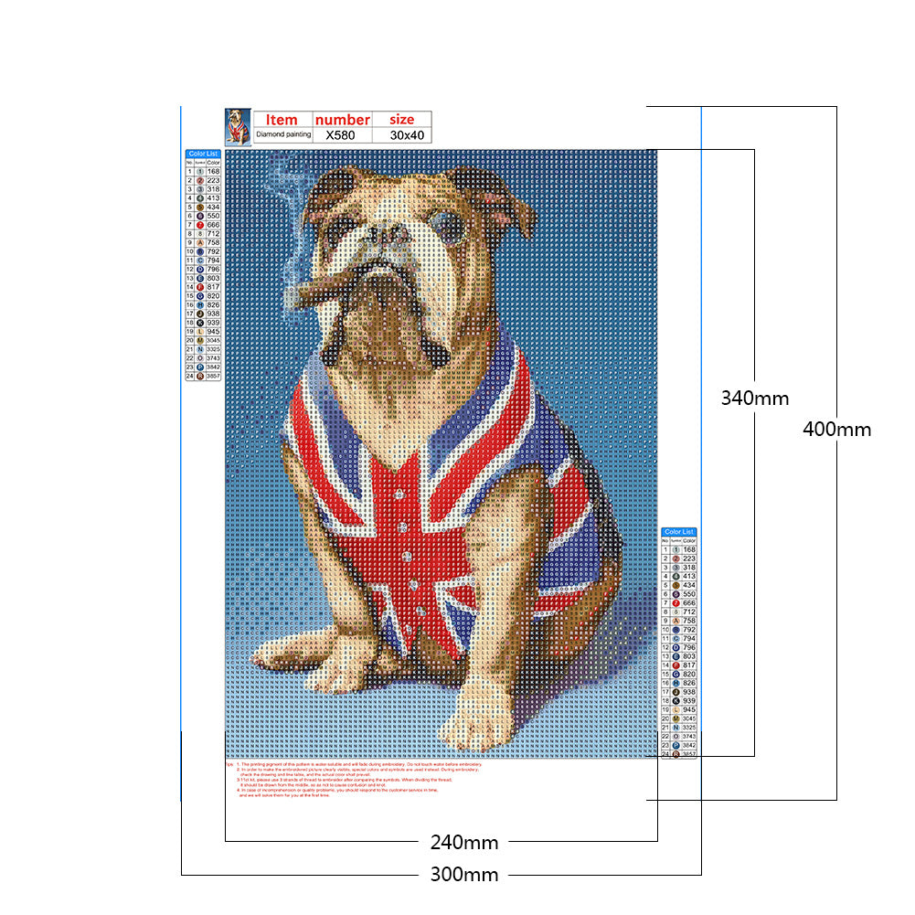 Mizi Flag Clothes Starling - Full Round Drill Diamond Painting 30*40CM