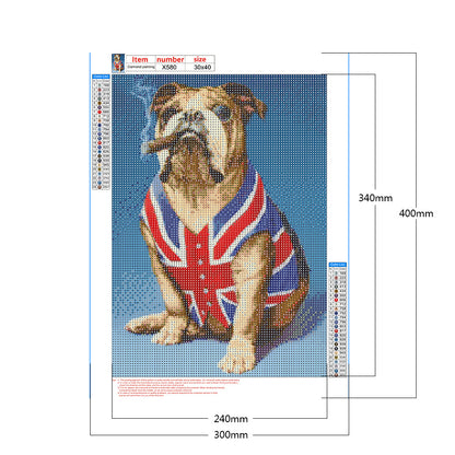 Mizi Flag Clothes Starling - Full Round Drill Diamond Painting 30*40CM