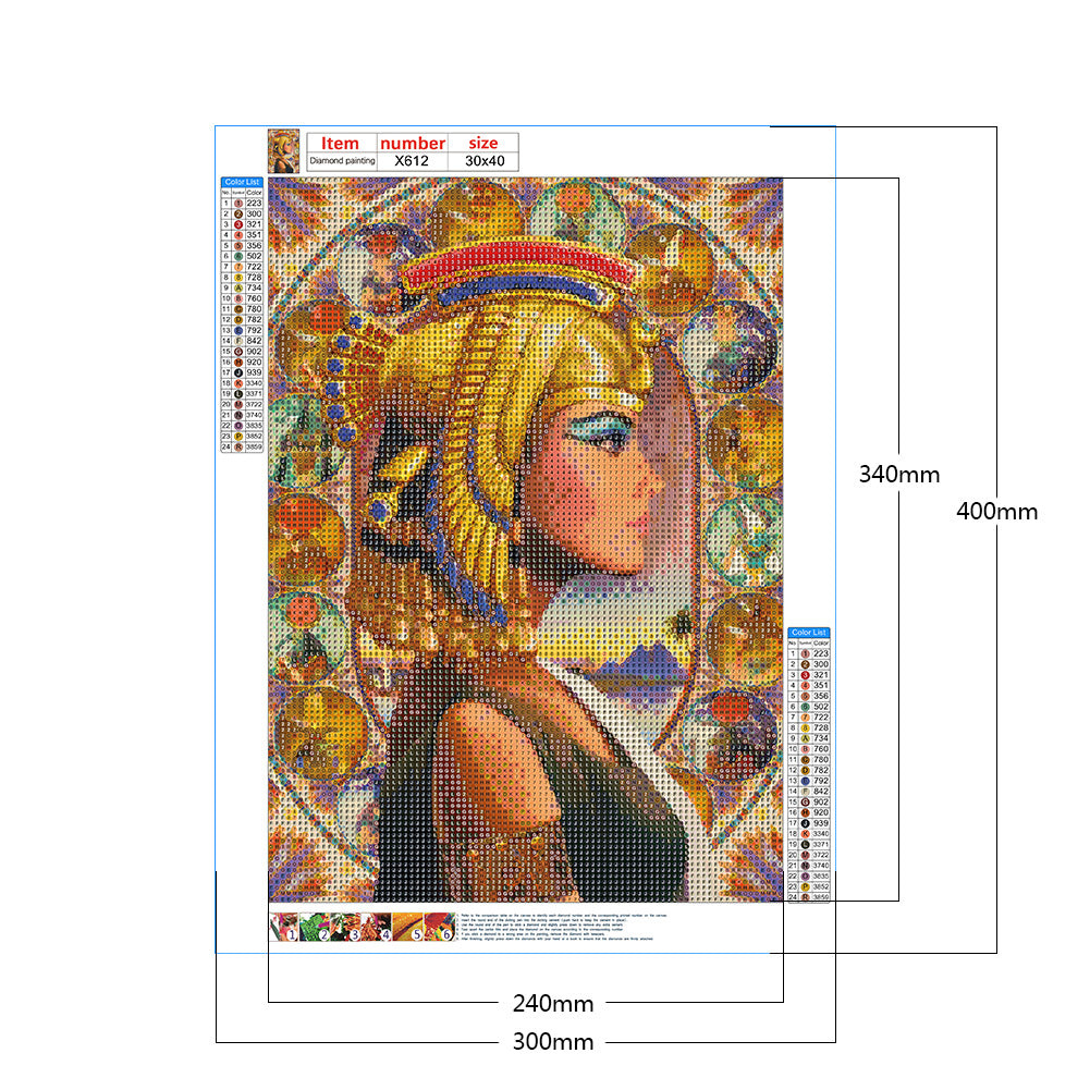 Queen Of India - Full Round Drill Diamond Painting 30*40CM