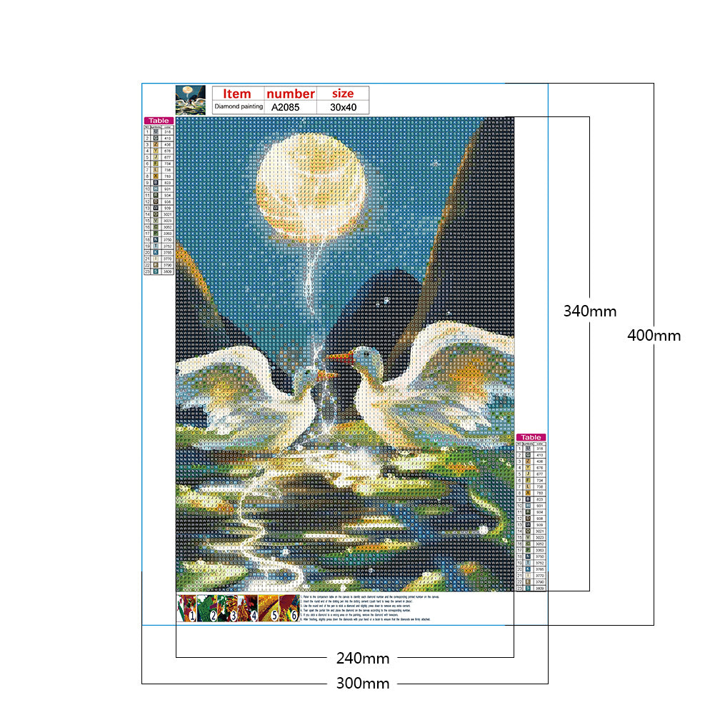 Swan - Full Round Drill Diamond Painting 30*40CM