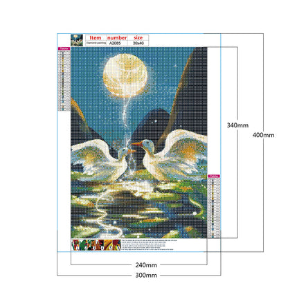 Swan - Full Round Drill Diamond Painting 30*40CM