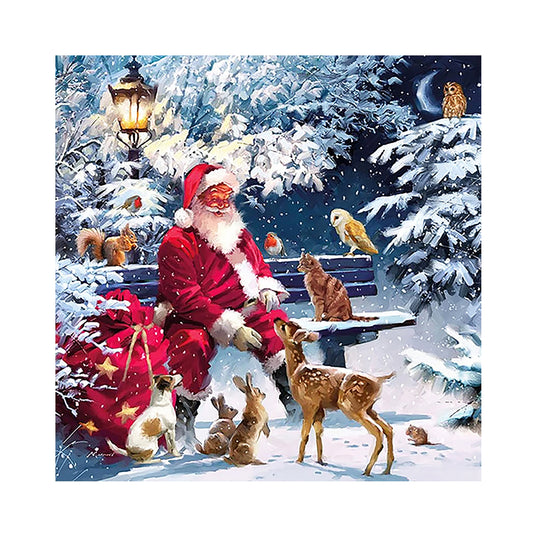 Santa Claus - Full Square Drill Diamond Painting 30*30CM