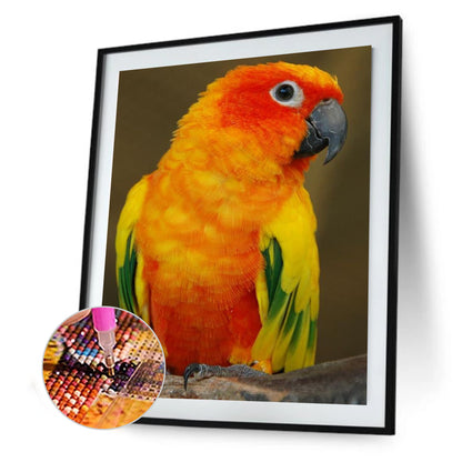 Parrot - Full Square Drill Diamond Painting 30*40CM