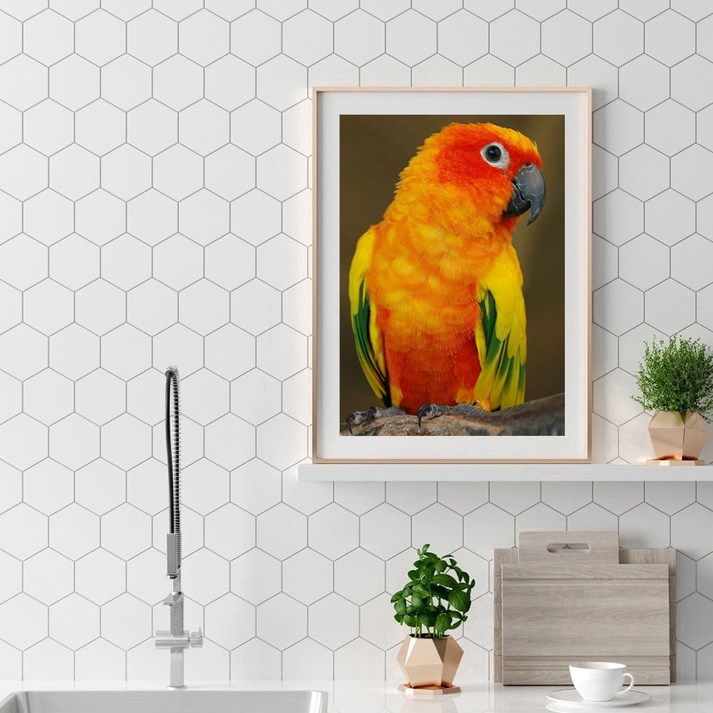 Parrot - Full Square Drill Diamond Painting 30*40CM