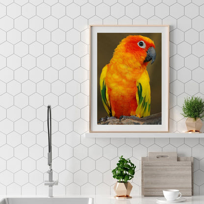 Parrot - Full Square Drill Diamond Painting 30*40CM