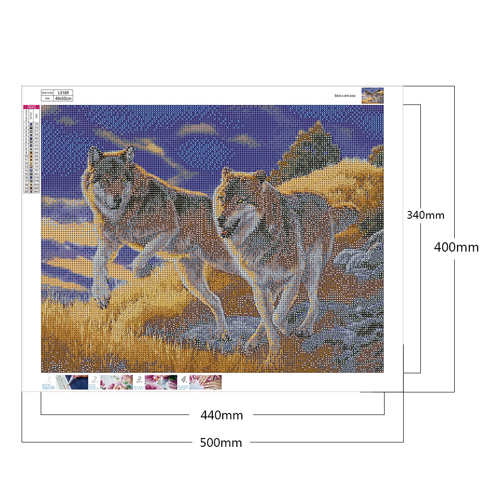 Wolf - Full Round Drill Diamond Painting 50*40CM