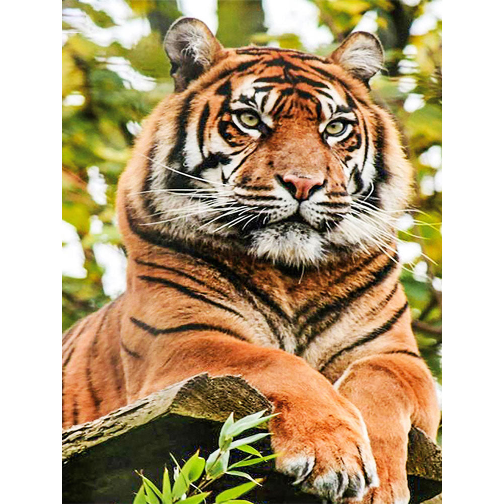 Animal - Full Round Drill Diamond Painting 30*40CM