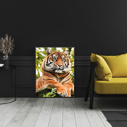 Animal - Full Round Drill Diamond Painting 30*40CM