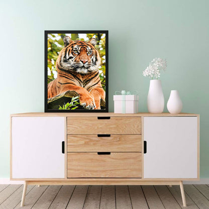 Animal - Full Round Drill Diamond Painting 30*40CM