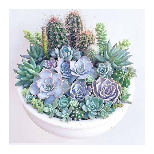 Succulents - Full Square Drill Diamond Painting 30*30CM