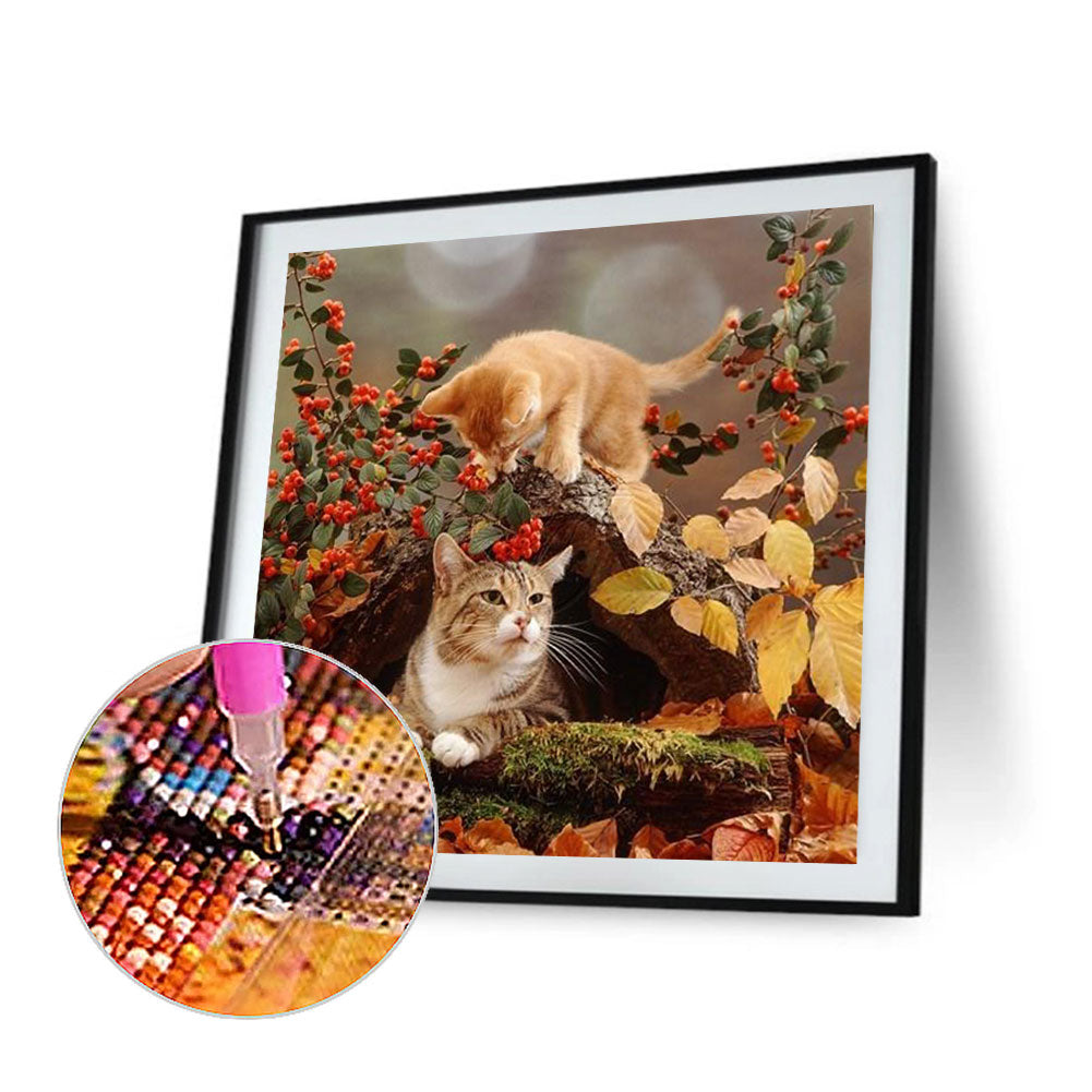 Kitten - Full Round Drill Diamond Painting 40*40CM