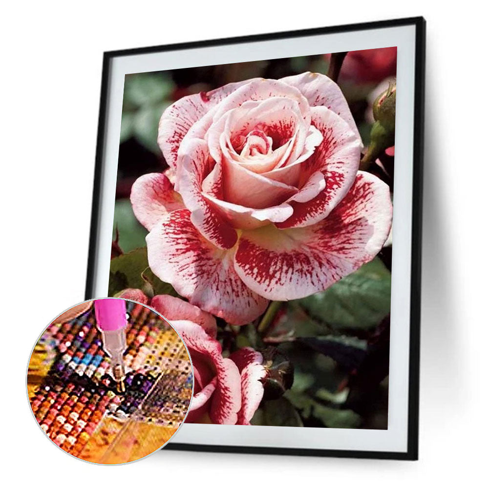 Rose - Full Round Drill Diamond Painting 30*40CM