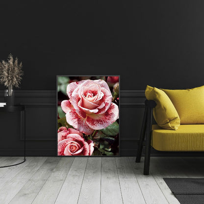 Rose - Full Round Drill Diamond Painting 30*40CM