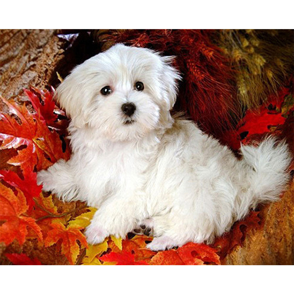 Puppy - Full Round Drill Diamond Painting 40*30CM