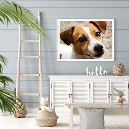Puppy - Full Round Drill Diamond Painting 40*30CM