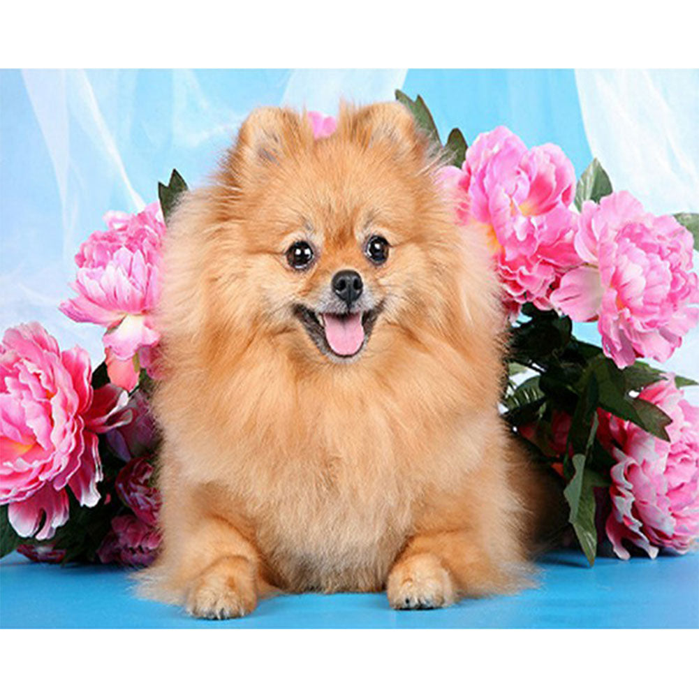 Puppy - Full Round Drill Diamond Painting 50*40CM