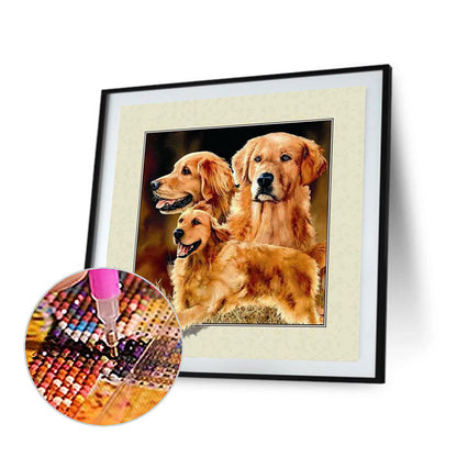 Dog Stepping Out Of Frame - Full Round Drill Diamond Painting 30*30CM