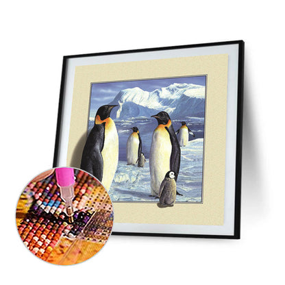 Penguin Stepping Out Of The Frame - Full Round Drill Diamond Painting 30*30CM