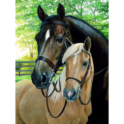 Horse - Full Square Drill Diamond Painting 30*40CM