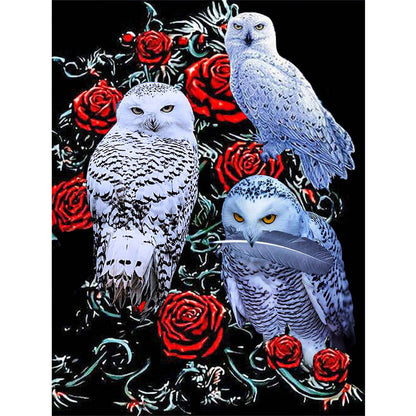 Rose Owl - Full Square Drill Diamond Painting 50*60CM