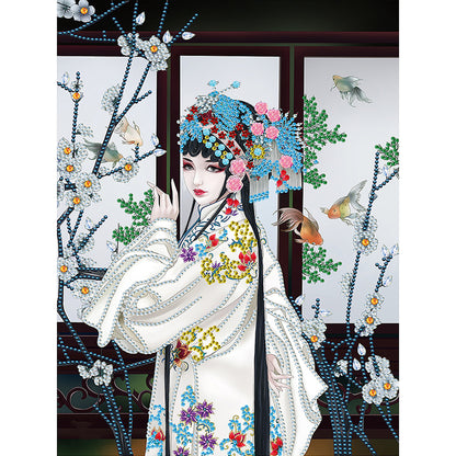 Chinese Style Beauty - Special Shaped Drill Diamond Paiting 30*40CM