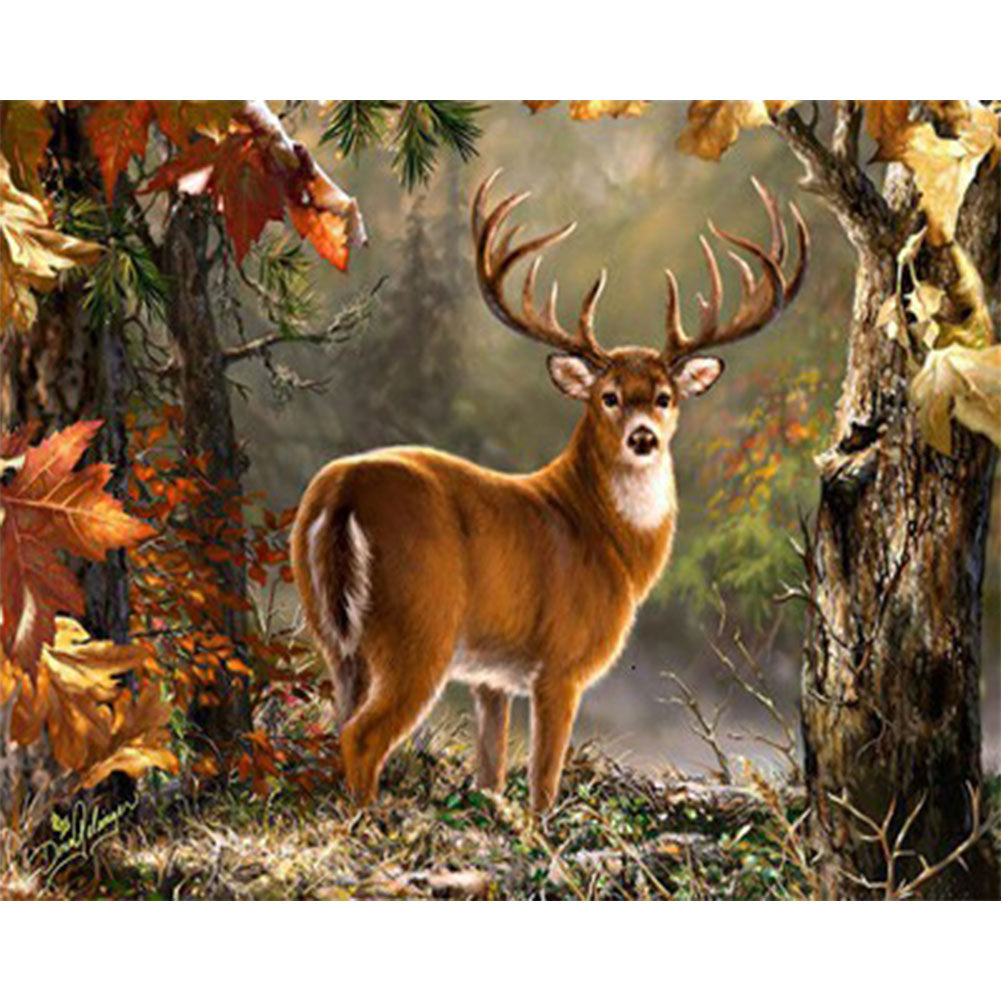 Forest Elk - Full Round Drill Diamond Painting 50*40CM